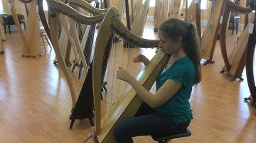 Dusty Strings FH26 1959