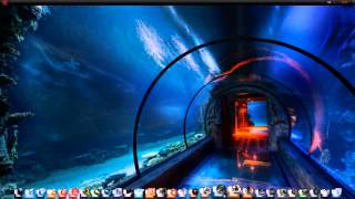 Dreamscene Aquatunnel