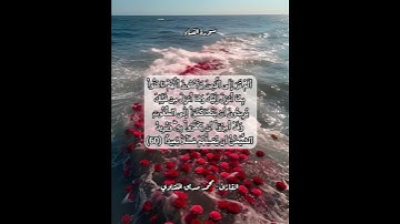 سورة النساء ٦٠ #قرآن #قرآن_كريم #قران #قران_كريم #قرأن #quran