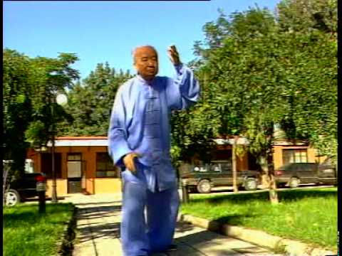Northern Wu or Beijing Wu Tai Chi Chuan-Intro-Gao ...