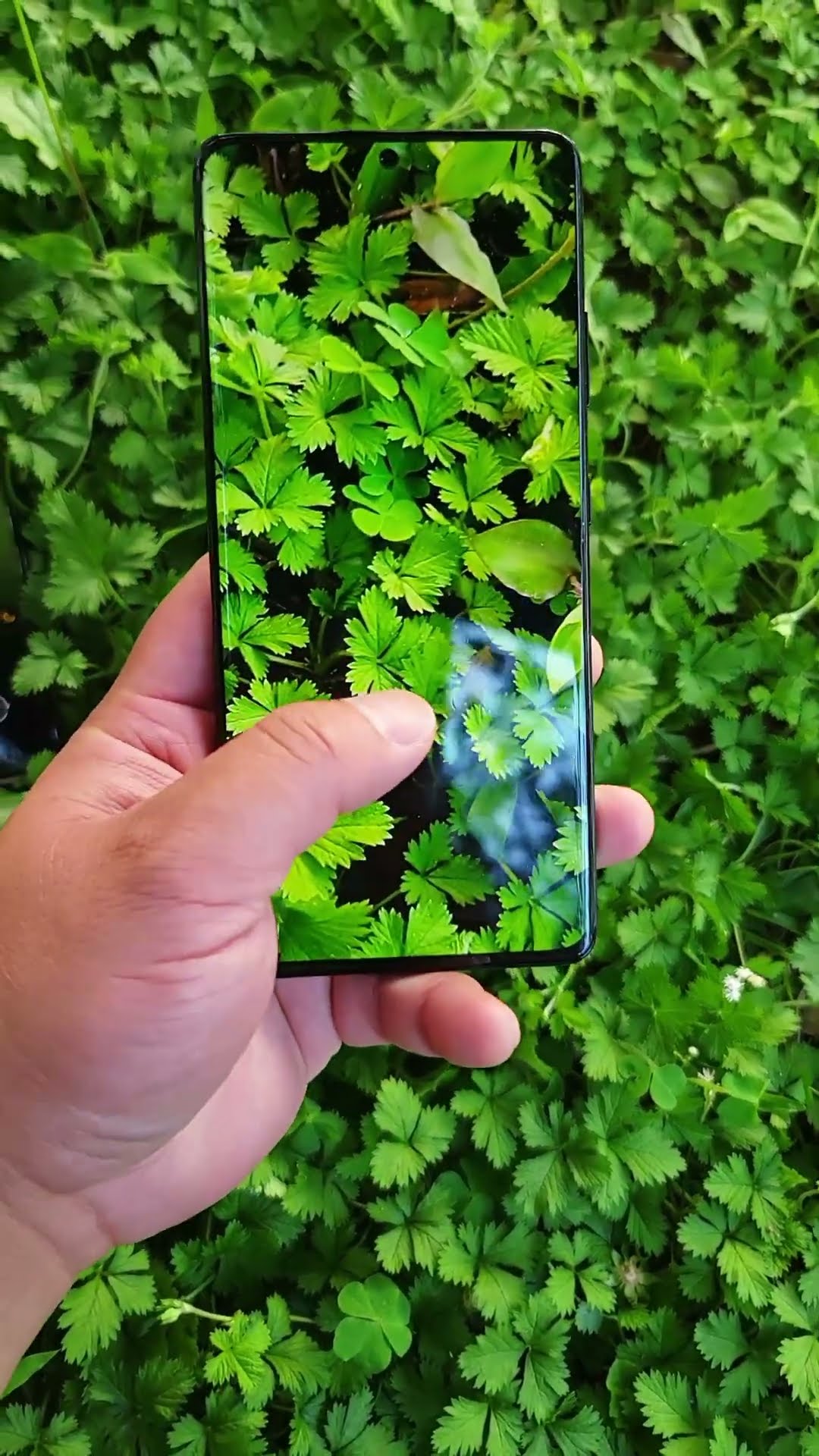 Do you think Samsung's mobile phone screen is stillthe first tier? Digital Technology Samsung Mobile