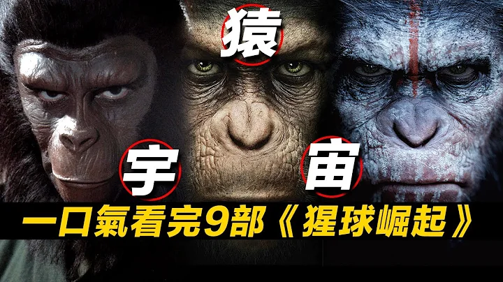 一口气看完9部《猩球崛起》！猩球宇宙经典科幻！无缝连接《猩球崛起4》 #猩球崛起 #猩球崛起4 - 天天要闻