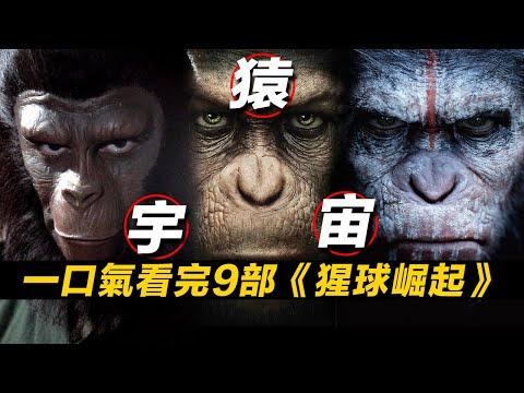 一口氣看完9部《猩球崛起》！猩球宇宙經典科幻！無縫連接《猩球崛起4》 #猩球崛起 #猩球崛起4