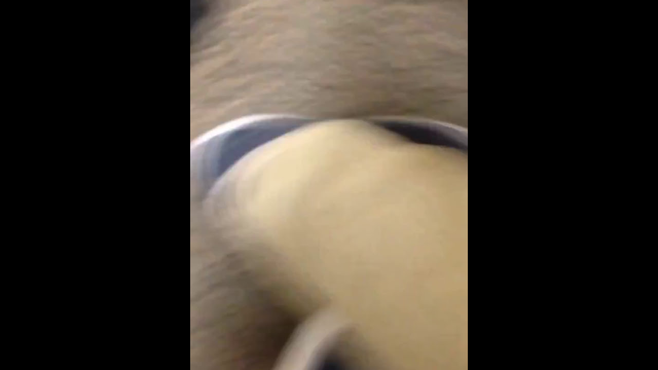 Mufasa Fart Mufasa Fart