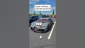 "Only 1% Can Spot the Cat… 10 Ducks Are Easy 😭🔥" #findthedifference #hiddenobjects