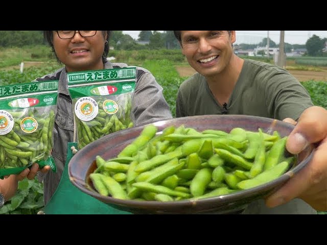 Edamame Farm | Japanese Superfood Snack Adventure ☆ ONLY in JAPAN
