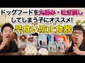 【ドッグフードの早食い・吐き戻し対策に！】早食い防止食器をペットショップ店長が解説します！