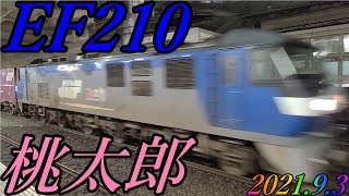 EF210が牽引する4096レが府中本町駅を通過　2021.9.3