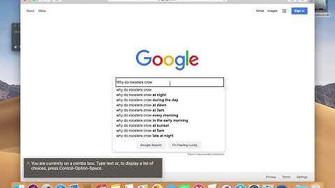 How I use Safari on the Mac using voiceOver