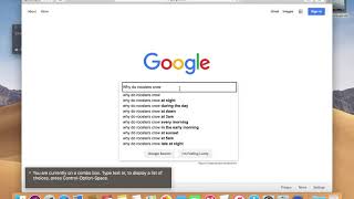 How I use Safari on the Mac using voiceOver