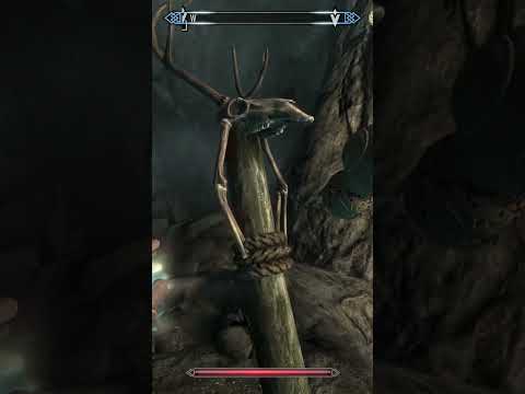 I still have no idea how this happened | Skyrim Gameplay Highlights