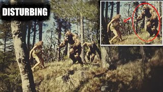 Young Woman STALKED By 12 Foot Tall SASQUATCH GIANTS | Most Disturbing Bigfoot Encounter | #bigfoot