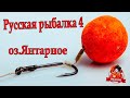 Русская рыбалка 4 Янтарное