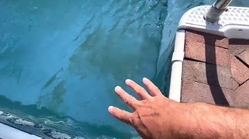 Ascorbic acid in a pool truly the cure must see this video clears up stains in seconds