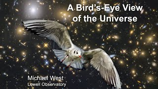 A Bird&#39;s-Eye View of the Universe