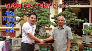 Đưa TP TÂM AN về vườn cây THẦY CHÚC * BIẾT BAO NHIÊU THAY ĐỔI * khi đón 1 loạt TP MỚI tại YÊN MỸ .