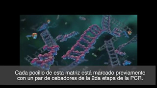 ¿Como Funciona el FilmArray?