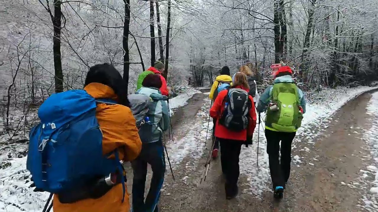 HOMOLJE VELIKI VRANJ 29 11 2025