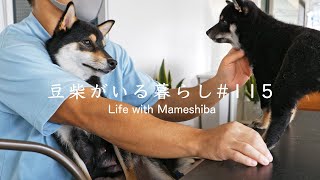 さよならじゃないよ、いつまでも家族でいようね