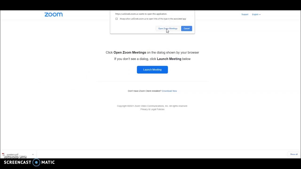 using the zoom link in Calendly YouTube