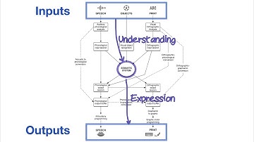 The "PALPA Model" Explained: Normal Language Processing in Psycholinguistics
