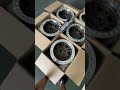 ProRock KOH Heavy Duty Beadlock Wheels Available At ProRock Surabaya