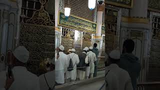 Madina rozarasool inZiyarat🙌🌹#madina#love#prophet#muhammadﷺ#ziyarat#salam#ytshorts#shorts#viralvideo