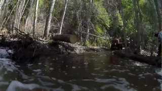 Crossing a small creek
http://johnbiehler.com Crossing a small creek