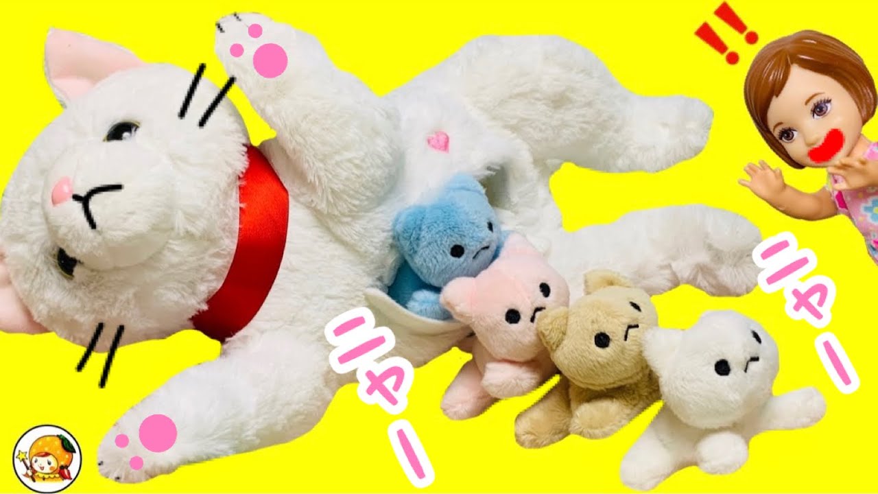 ここなのペットに赤ちゃん誕生❤︎ シャンプーなどお世話をして名前