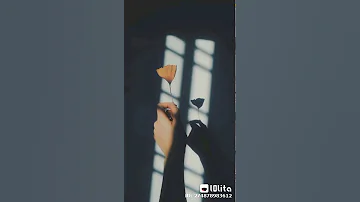لمن نشكي حالي يا الي شغلتيلي بالي D حاله واتساب روووعه 