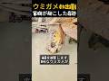 父の背中で学ぶ 最高の生きた教育