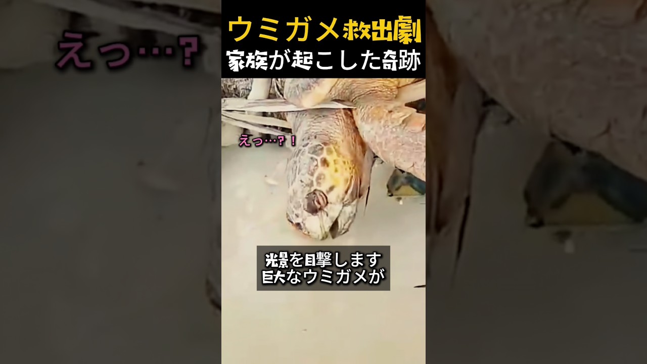 父の背中で学ぶ 最高の生きた教育