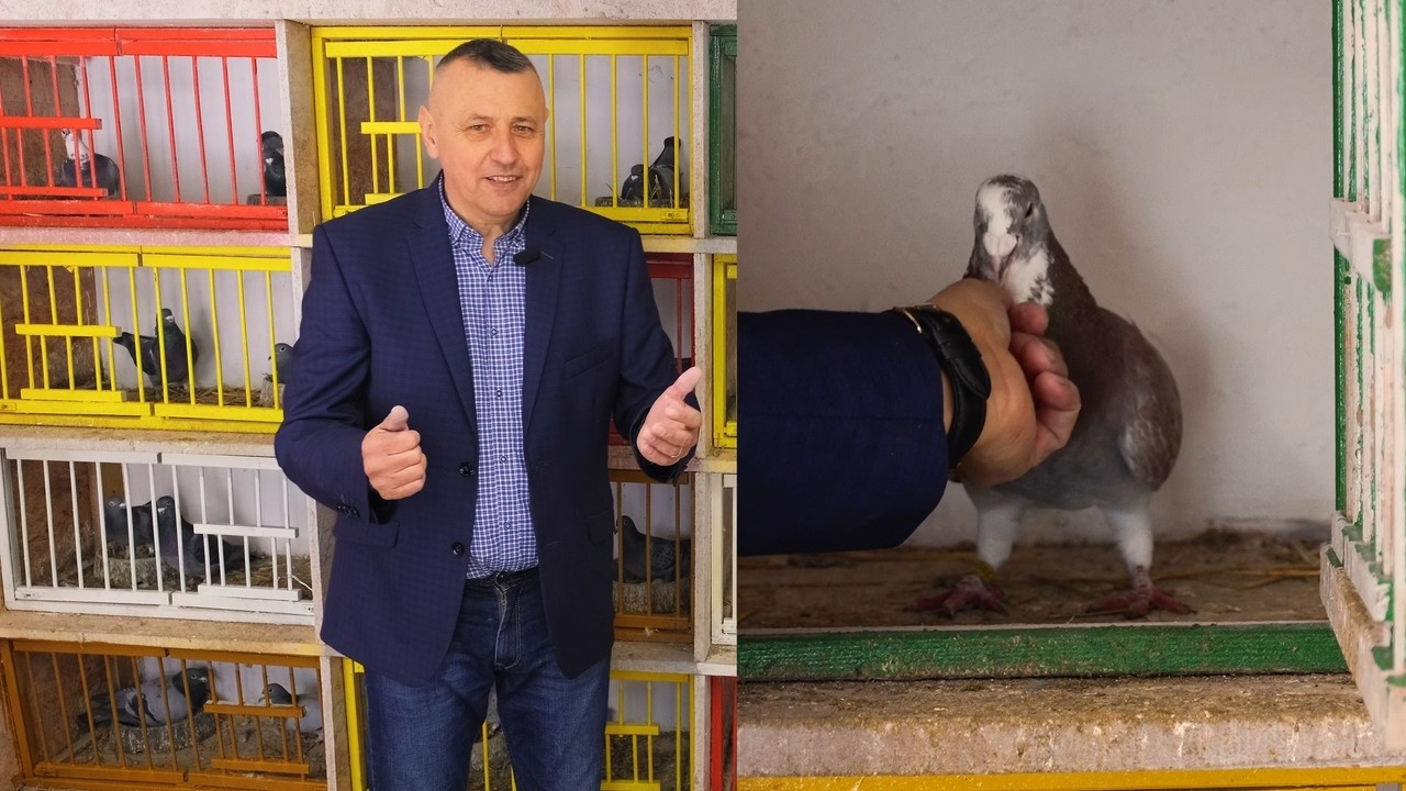 Pozdrowienia dla prezesa PZHGP, Afryka , Dubaj