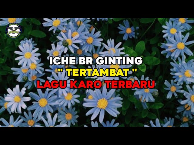 iche br ginting || tertambat || lagu Karo terbaru class=