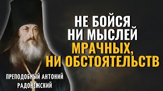 Ничего не бойся! Иди твердою стопой и призывай Господа в помощь, говоря...Антоний Радонежский