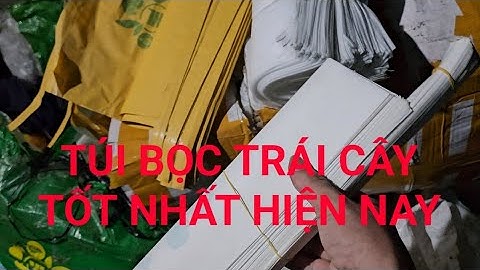 Túi bọc tốt nhất cho các loại Na, xoài, bưởi giá trị cao