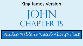 John 15 | KJV DRAMATIZED AUDIO BIBLE WITH TEXT