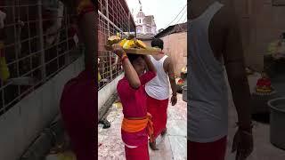 joy maa tara