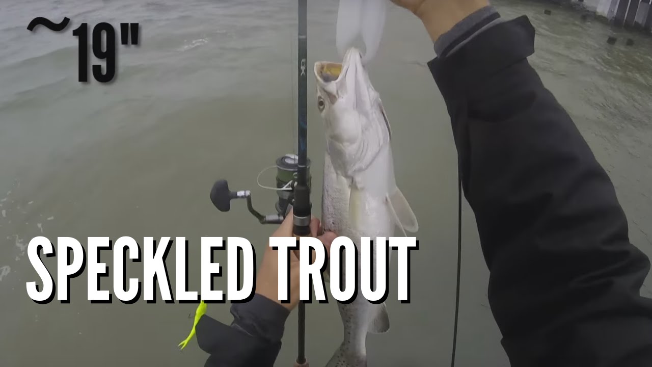 Tandem Rig Trout Fishing Corpus Christi (Speckled Trout) 