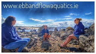 Ciara chats with Sarah and Aisling from EBB & FLOW Aquatics