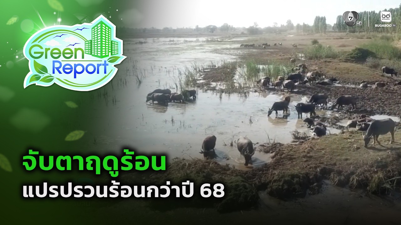 จับตาฤดูร้อน แปรปรวนร้อนกว่าปี 68 | Green Report