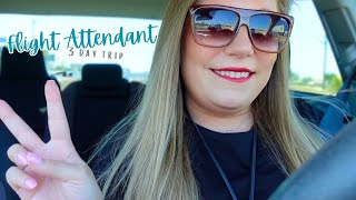 VERY easy 3 day trip | flight attendant life