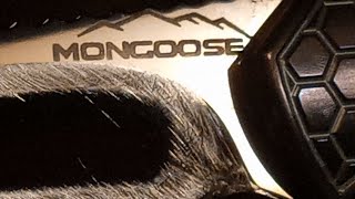 Late Friday Fix - Moen Mini Mongoose