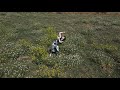 Bloomhaus - Thoughtless Feeling (Official Video)