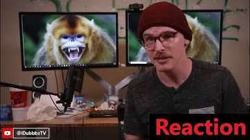 How iDubbbz Lost His Entire Audience In 1 Month | Reaction