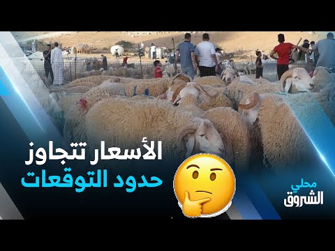 الأغواط قبيل أيام من عيد الأضحى الأسعار تتجاوز حدود التوقعات