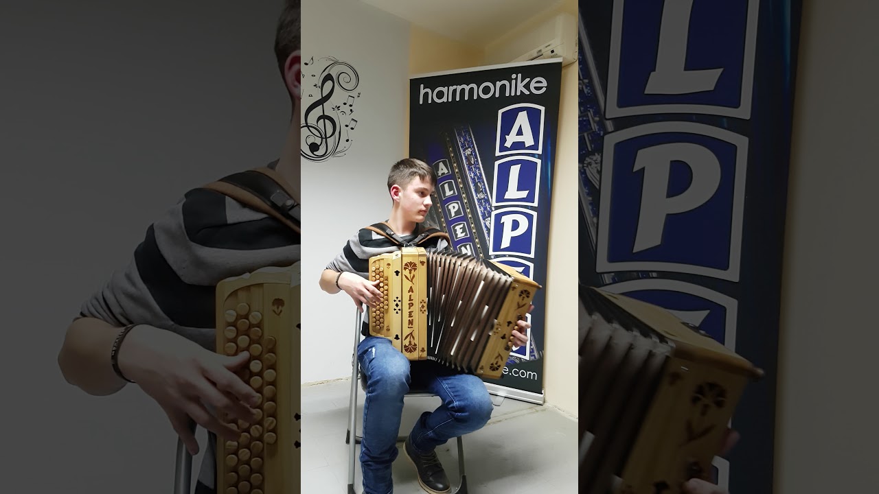 Ans. bratov Avsenik - V pustnih dneh