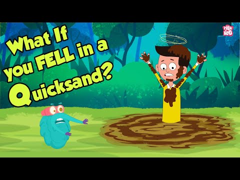 What If You Fell In A Quicksand? | QUICKSAND | Dr Binocs Show | Peekaboo Kidz