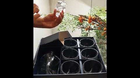 BỘ BÌNH LY PHA LÊ UỐNG RƯỢU CAO CẤP - WHISKY QUADRO