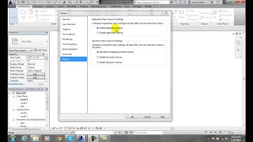 Revit 02-25 Macros Tab   Options
